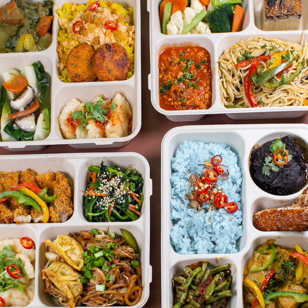 Braised chicken wing bento