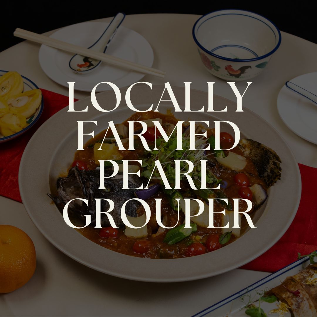 Locally Farmed Pearl Grouper (1KG +/-)